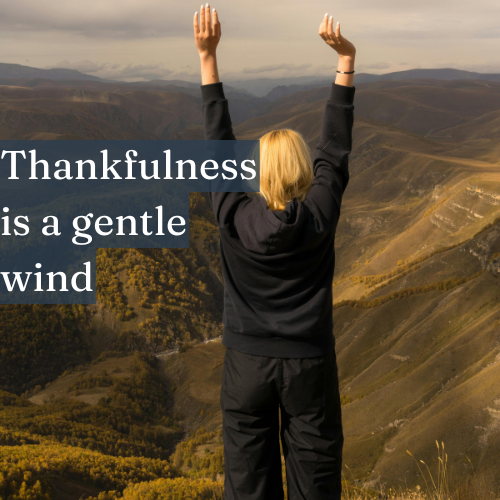 Thankfulness is a gentle wind propelling you toward your brightest future.