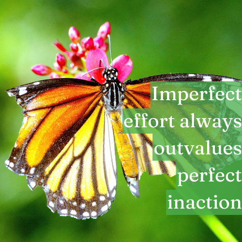 Imperfect effort always outvalues perfect inaction.