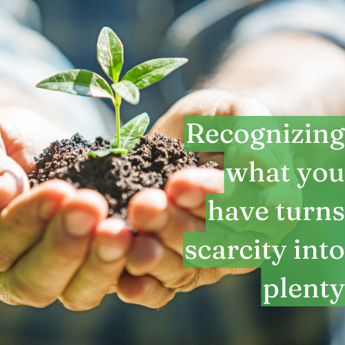 Recognizing what you have turns scarcity into plenty.