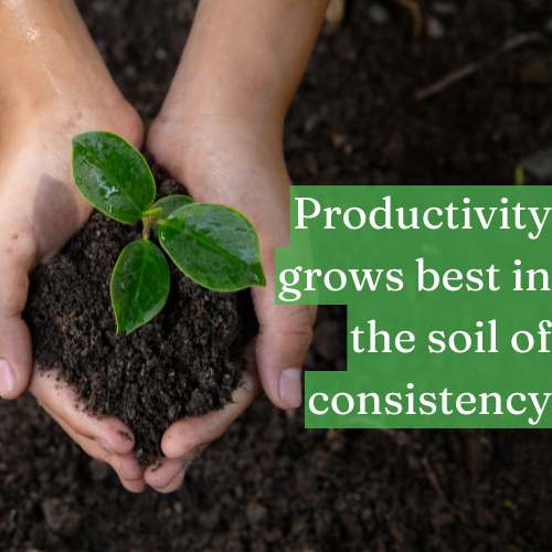 Productivity grows best in the soil of consistency.