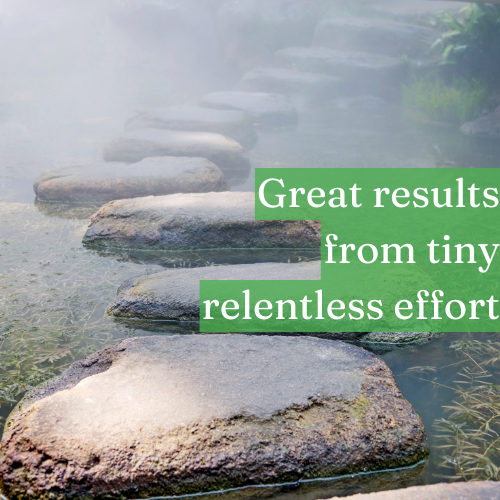 Great results come from tiny, relentless efforts.