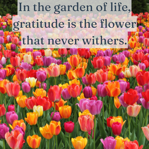 In the garden of life, gratitude is the flower that never withers.