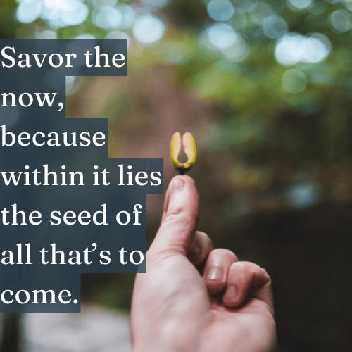 Savor the Now—It Holds the Seed of All That’s to Come - The Topify Method