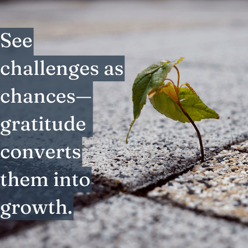 See Challenges as Chances—Gratitude Turns Them Into Growth - The Topify Method